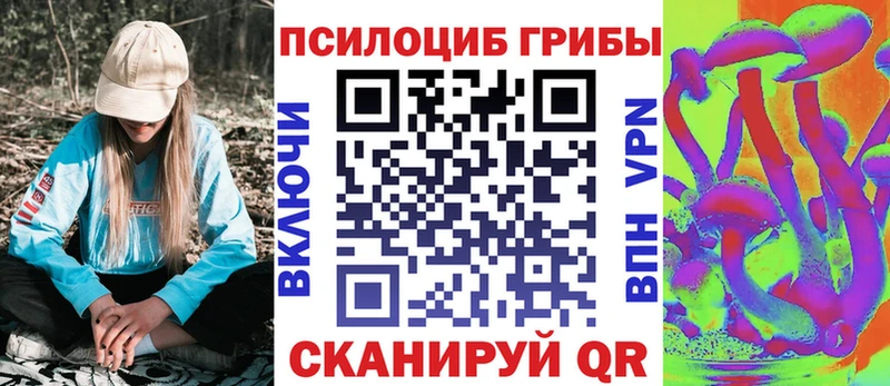 Галлюциногенные грибы прущие грибы  Купить закладки  Олёкминск 